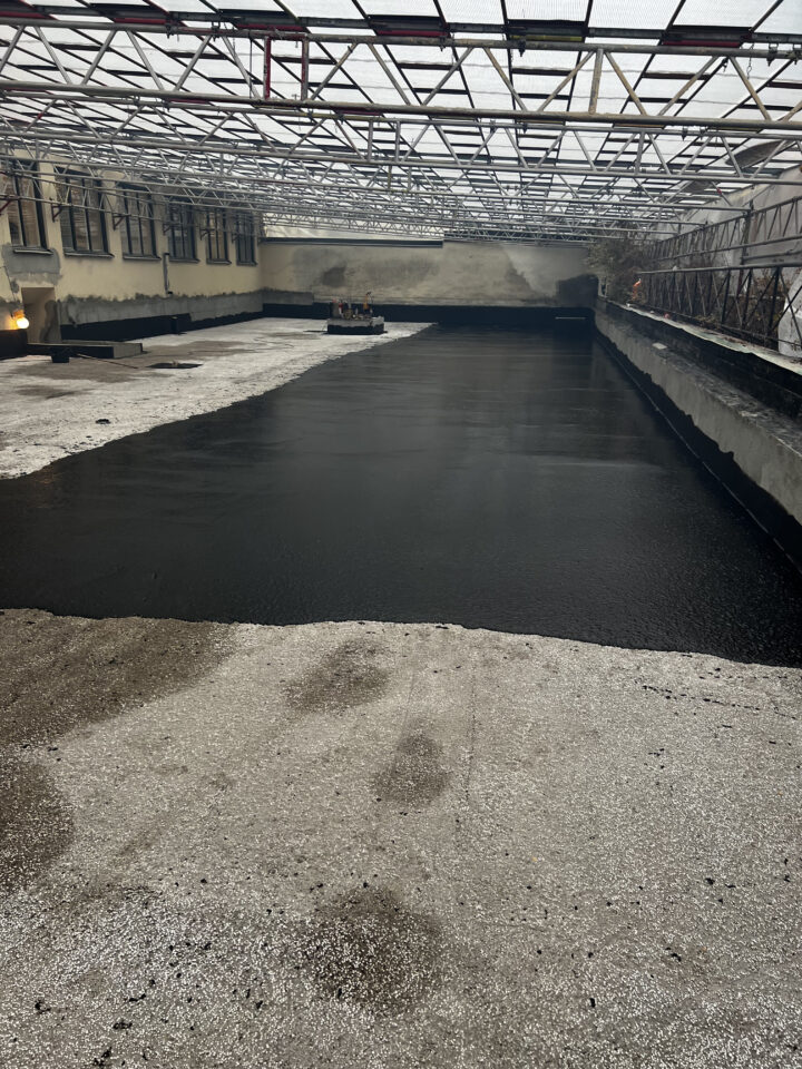 Mastix innergård Guldfisken