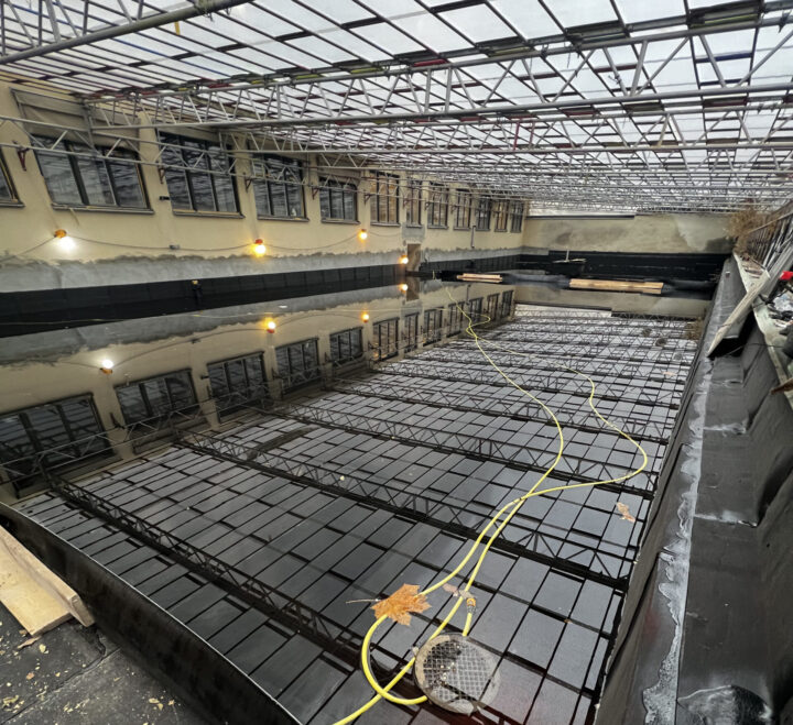 Vattenprovtryckning Guldfisken